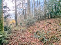 Lacs à vendre à Royères, Haute-Vienne - 41.600 € - photo 3
