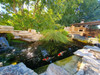 French property for sale in Pouzilhac, Gard - €320,000 - thumbnail 9