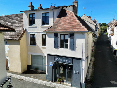 commercial for sale in Vienne
