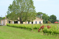 houses and homes for sale inSaint-Louis-de-MontferrandGironde Aquitaine