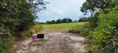 French property for sale in Sainte-Marie-du-Mont, Manche - €599,000 - photo 14