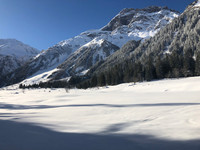 Propriété à vendre à Pralognan-la-Vanoise, Savoie - 995 000 € - photo n°3