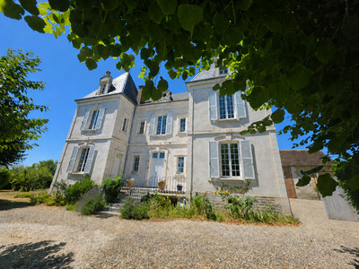 chateau for sale in Yonne