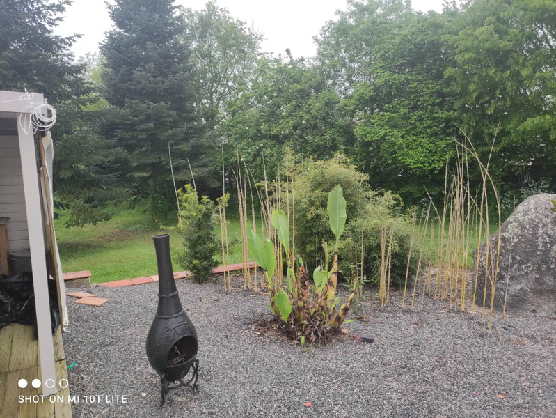 French property for sale in Moncoutant-sur-Sèvre, Deux-Sèvres - €249,000 - photo 3