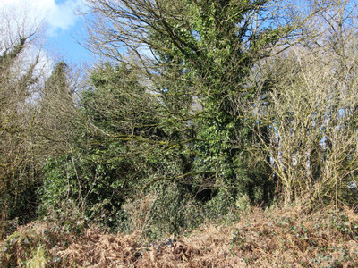 French property for sale in Maël-Pestivien, Côtes-d'Armor - €21,000 - photo 5