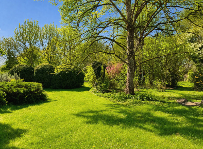 French property for sale in Saint-Romain, Vienne - €125,350 - photo 2