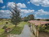 French property for sale in Orban, Tarn - €599,000 - thumbnail 9