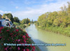 French property for sale in Trèbes, Aude - €89,000 - thumbnail 14