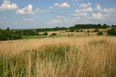 Terrain à vendre à Saint Aulaye-Puymangou, Dordogne, Aquitaine, avec Leggett Immobilier