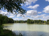 French property for sale in Le Vigeant, Vienne - €848,000 - thumbnail 9