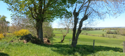 French property for sale in Miremont, Puy-de-Dôme - €109,000 - photo 4