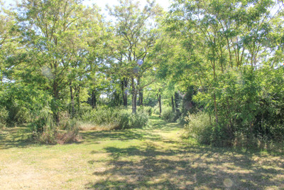 French property for sale in Salles, Deux-Sèvres - €224,300 - photo 13