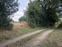 Terrain à vendre à Les Salles-Lavauguyon, Haute-Vienne - 21.500 € - photo 6