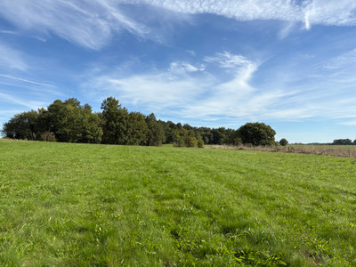 French property for sale in Saint-Jory-de-Chalais, Dordogne - €69,000 - photo 8