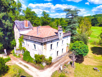 Chateau à vendre à Château-l'Évêque, Dordogne, Aquitaine, avec Leggett Immobilier