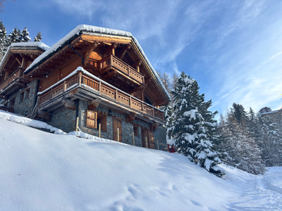 Ski property for sale in La Plagne - €2,950,000 - photo 0