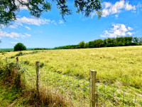 Propriété à vendre à Bussière-Badil, Dordogne - 79 000 € - photo n°3