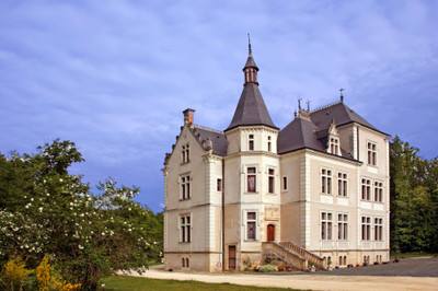 Chateau à vendre à Gizeux, Indre-et-Loire, Centre, avec Leggett Immobilier