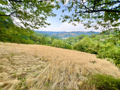 French property for sale in Espeyrac, Aveyron - €315,000 - photo 3