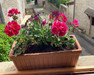 French property for sale in Saint-Projet, Tarn-et-Garonne - €191,000 - thumbnail 14