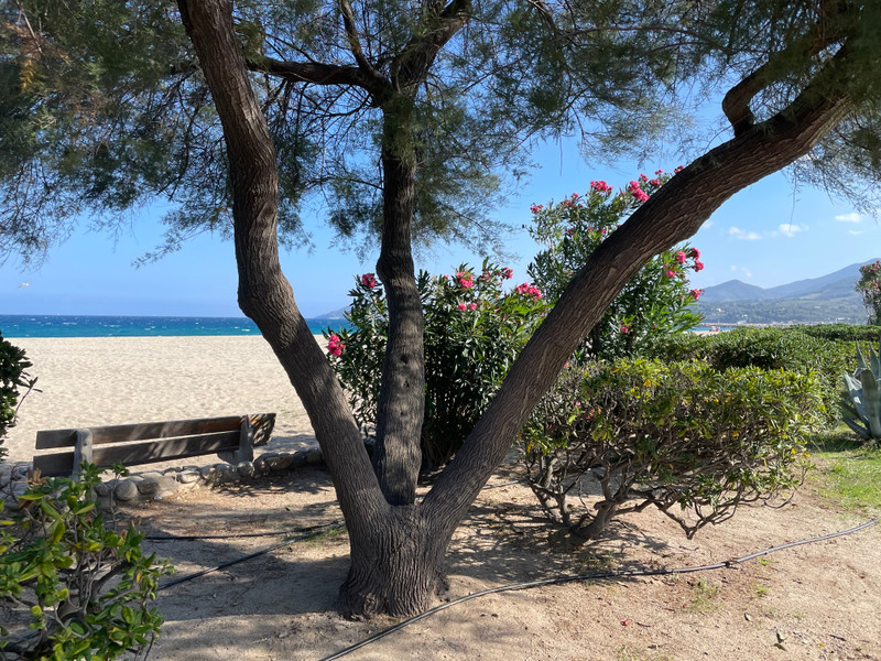 French property for sale in Argelès-sur-Mer, Pyrénées-Orientales - €79,500 - photo 4