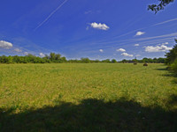 Terrain à vendre à Gabillou, Dordogne - 51.600 € - photo 8