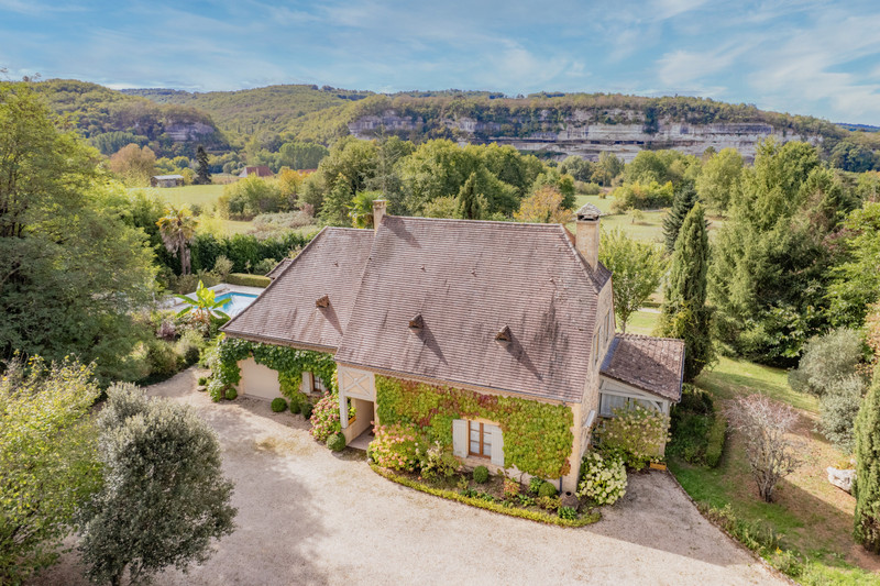 French property for sale in Saint-Léon-sur-Vézère, Dordogne - €540,000 - photo 0