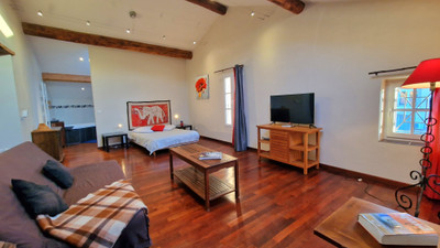 French property for sale in Olonzac, Hérault - €430,000 - photo 7