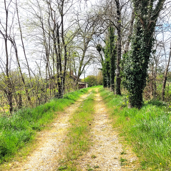 French property for sale in Betbezer-d'Armagnac, Landes - €177,500 - photo 5