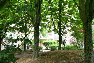 French property for sale in Bagneux, Hauts-de-Seine - €260,000 - photo 6