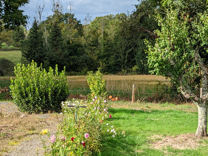 French property for sale in Saint-Denis-de-Jouhet, Indre - photo 9