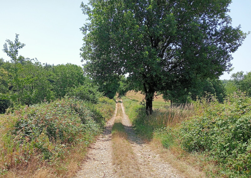 French property for sale in Argentat-sur-Dordogne, Corrèze - €574,000 - photo 1