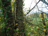 French property for sale in Payroux, Vienne - €66,600 - thumbnail 14