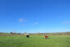 French property for sale in Buais, Manche - €269,000 - thumbnail 14