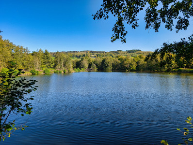 French property for sale in La Croisille-sur-Briance, Haute-Vienne - €124,260 - photo 13