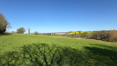 French property for sale in Champgenéteux, Mayenne - €59,600 - photo 13