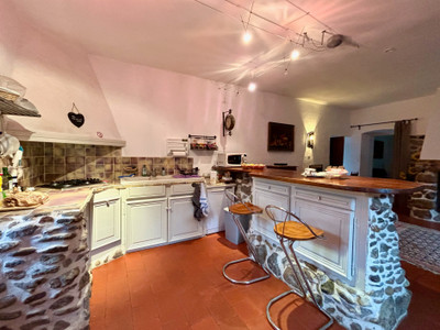 French property for sale in Saint-Florent-sur-Auzonnet, Gard - €430,000 - photo 9