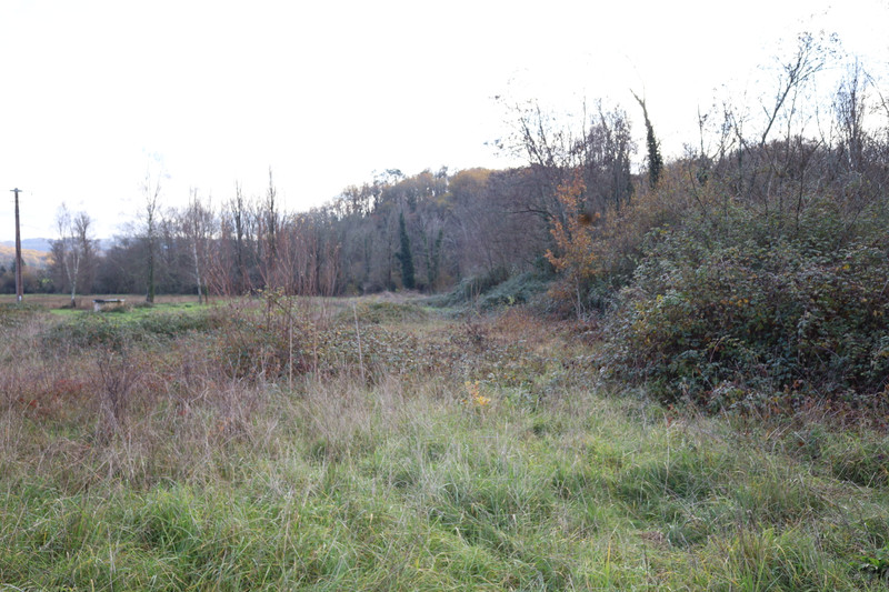 French property for sale in Thonac, Dordogne - €75,210 - photo 7