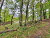French property for sale in Croze, Creuse - €141,700 - thumbnail 9