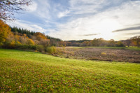 Maison à vendre à Viam, Corrèze - 318.000 € - photo 10