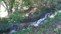 Moulin à vendre à Saint-Martin-des-Combes, Dordogne - 450.000 € - photo 9