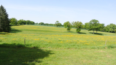 French property for sale in Buxières-les-Mines, Allier - €585,000 - photo 6