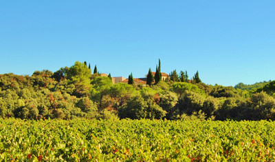 Stunning location for this  bio wine domaine with 7 bedroom owners property ,separate apartment  wine tasting  shop /office ,réception/seminar  area , 24 hectares of  Aop Minervois and 3 hectares 90 of IGP blanc. In the beautiful  Minervois wine region between Carcassonne and Narbonne.   