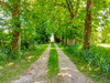 French property for sale in Civray, Vienne - €695,000 - thumbnail 9