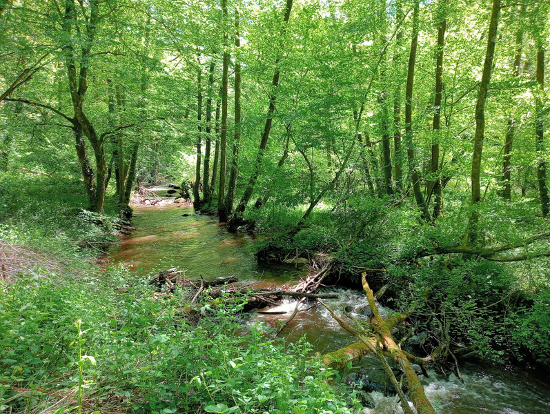 French property for sale in Espagnac, Corrèze - €48,750 - photo 1