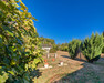 French property for sale in Bersac-sur-Rivalier, Haute-Vienne - €88,000 - thumbnail 14