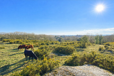 French property for sale in Saint-Nicodème, Côtes-d'Armor - €350,000 - photo 11