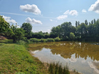 Lacs à vendre à La Chapelle-Glain, Loire-Atlantique - 51 600 € - photo 8
