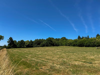 Terrain à vendre à Champsac, Haute-Vienne - 27.000 € - photo 6