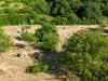 French property for sale in Terrasson-Lavilledieu, Dordogne - €28,500 - thumbnail 4